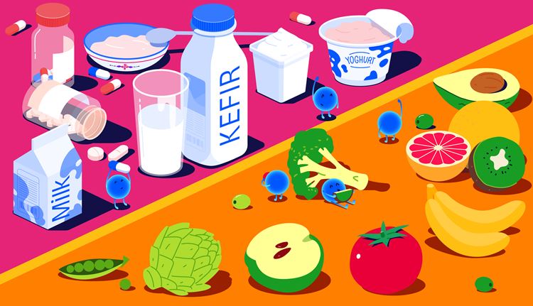 Functional Food Ingredients