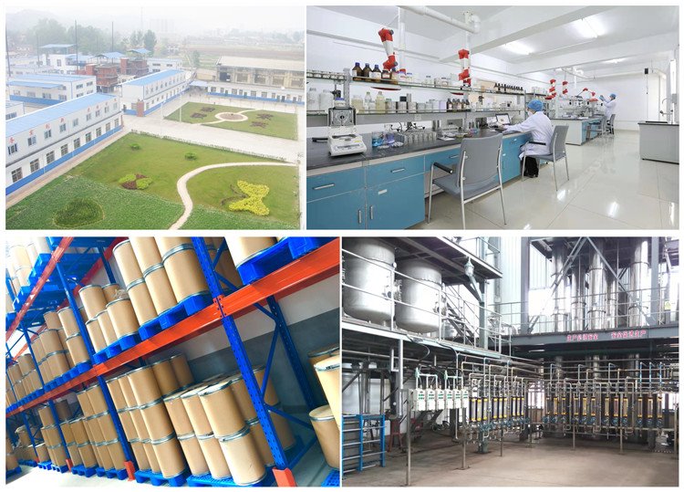 Our Factory, Lab, Warehouse&Equipment