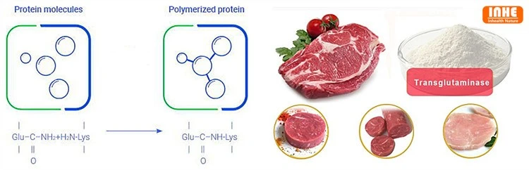 product-750-242 TGase
