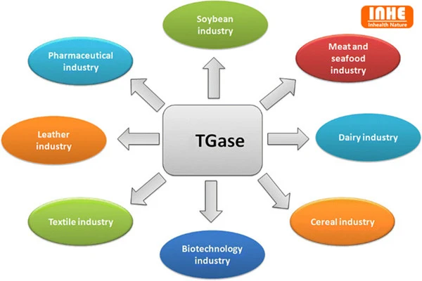 product-600-400 TGase application