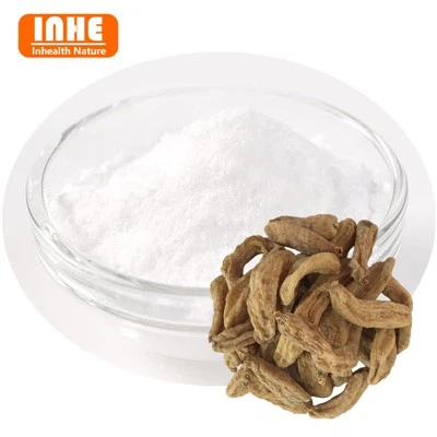 가스트로딘 분말