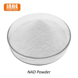 리포솜 기술이 NAD 분말에 적합한 이유는 무엇입니까?