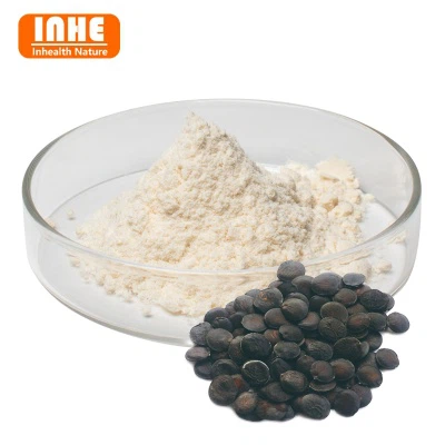 5-HTP 분말을 공복에 섭취해도 되나요?