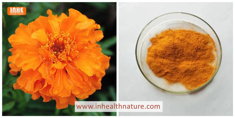 Marigold and LuteinZeaxanthin Powder