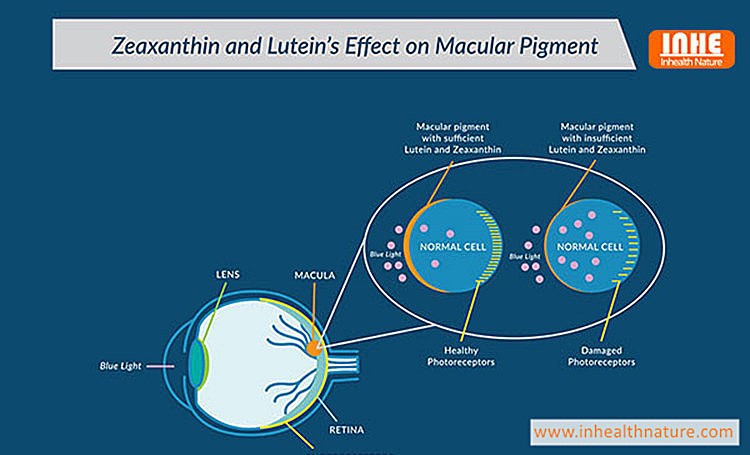 Want to Enhance Your Vision Try Lutein and Zeaxanthin Powder