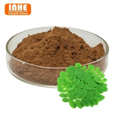 26-Moringa Leaf Extract Powder